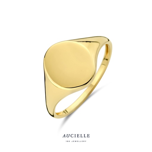 Bague Chevalière en Or Jaune 18K (50-56) [AR0057B]